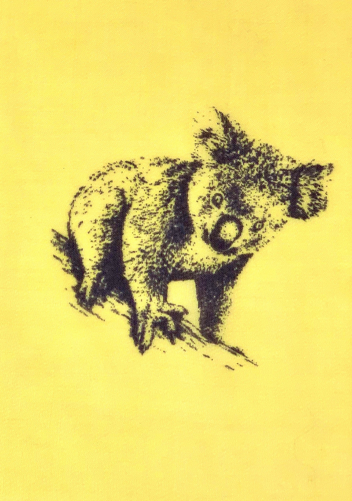 Waterpashmina Scarf Koala Yellow